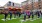 Large number of people doing yoga in a field